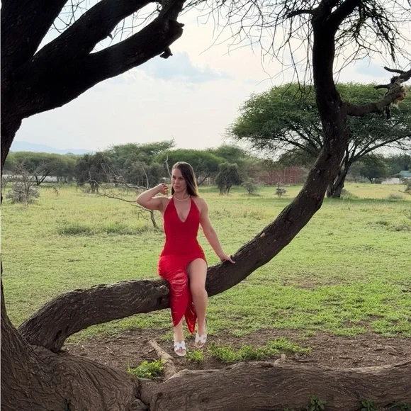 Red Backless Dress - Picture 3 of 3